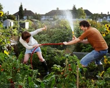 Fun Fight on Community Garden Allotment
