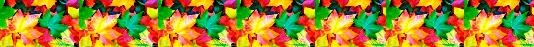 Leafmulch - autumn leaves in border