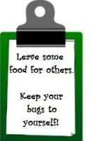 Vegetable Companion Planting Notice Board
