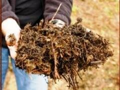 compost with twigs