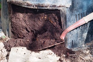 Composting, finished compost in bin