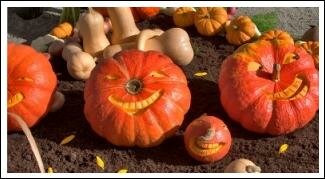 gardening activities for kids - pumpkin carved smiles