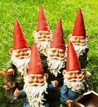 gnomes waiting for gardening advice and tips