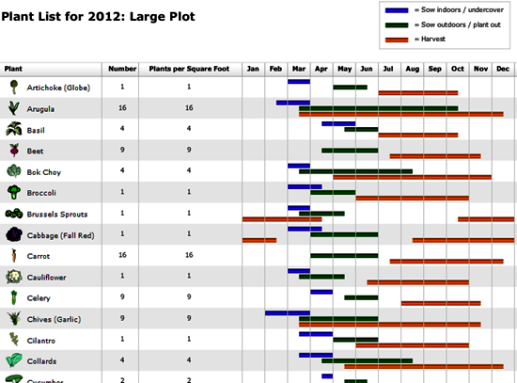 planting vegetable seedlings with GrowVeg Planner