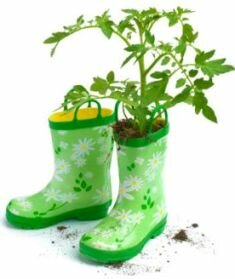Gumboots vegetable sowing guides