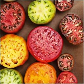 Colored heirloom tomatoes
