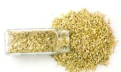 Hybrid seeds