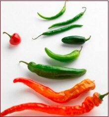 Hybridization - hybrid seeds, chillis