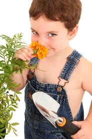 Kids gardening activities- boy smelling flowers