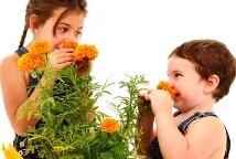 Kids gardening activities - children smelling flowers