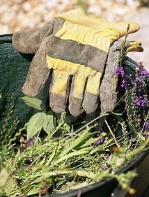 Weed Gloves