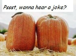 Gardening Jokes, Gardening