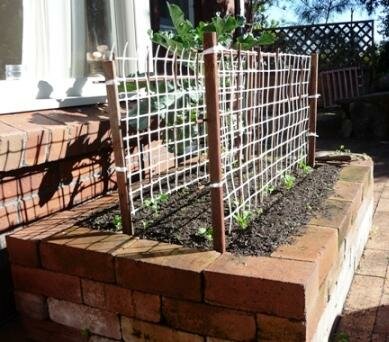 Building a Raised Bed Vegetable Garden - Building Raised Beds ...