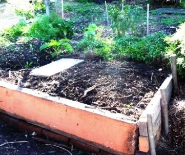 Raised garden bed for vegetables