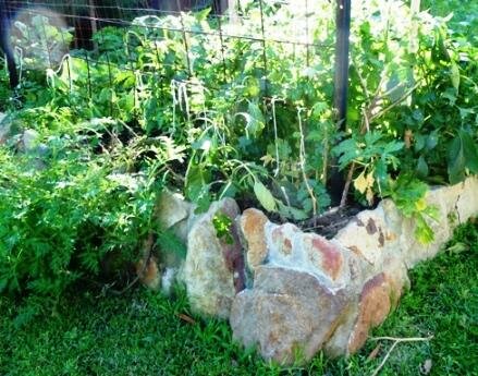 raised stone vegetable garden