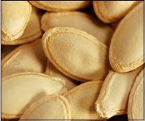 Seed germination - squash seeds