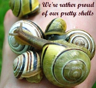 What Does Salt Do To Slugs And Snails