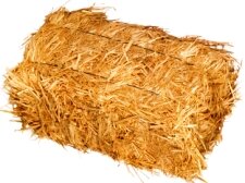 straw bale for gardening