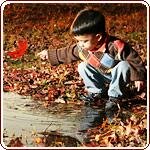 Teaching kids to garden - small boy playing with leaves and water