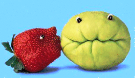 vegetables-kissing