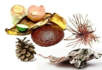 What to compost-compost materials