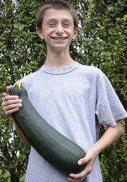 Gardening activities for kids - growing a huge zucchini