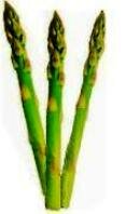 asparagus-spears1.jpg