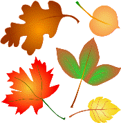 Autumn leaves