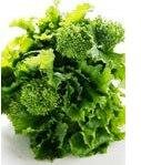 Broccoli varieties - broccoli Raab