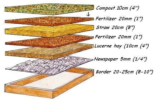 Building a vegetable garden layers