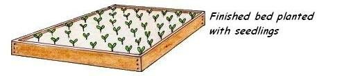 Building a vegetable garden top layer