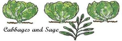 Companion plants cabbages and sage