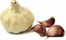 Garlic bulb and cloves - growing garlic