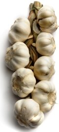 bunch of garlic