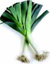 Growing leeks