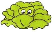 Lettuce with eyes