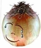 growing onions – storing onions