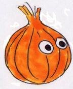growing onions
