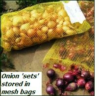 grow onions – onion sets in mesh bags