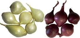 red pearl & white pearl onion varieties