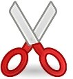 scissors to cut green onions – how to grow onions