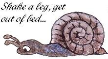 snail talking