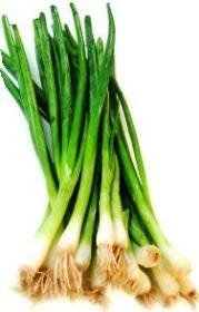 growing spring onions – how to grow scallions