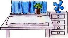 Starting seeds indoors night-time