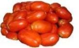 Tomatoes for drying