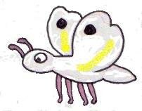 White butterfly