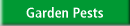 Garden Pests