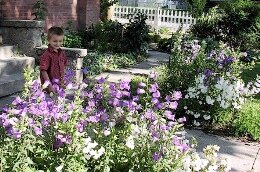 gardening is not hard work - garden and boy