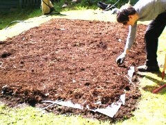 start building your no dig garden