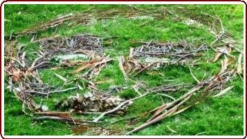 Education with nature for children - bark face in grass